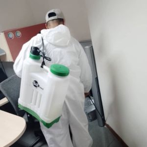 fumigacion de chinche